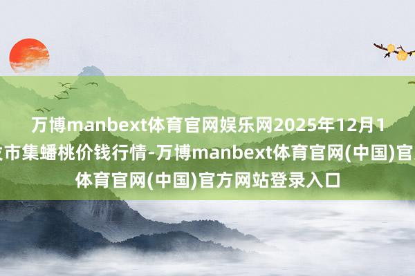 万博manbext体育官网娱乐网2025年12月1日寰宇主要批发市集蟠桃价钱行情-万博manbext体育官网(中国)官方网站登录入口